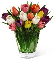 Spring Tulip Bouquet