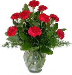 Carnations Vase from Swindler and Sons Florists in Wilmington, OH
