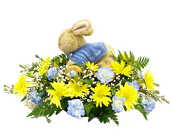 Peter Rabbit Pull Toy Bouquet
