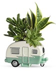 Cool Camper Succulent Garden from Swindler and Sons Florists in Wilmington, OH
