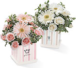 FTD Baby Prince or Princess Bouquet