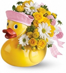 Ducky Delight (Girl) from Swindler and Sons Florists in Wilmington, OH