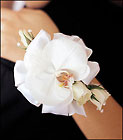 White Orchid and Roses Wristlet