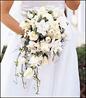 White Cascade Bridal Bouquet