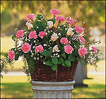 Pink Reverence Arrangement