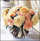 Perfect Pastel Roses