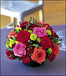 Rosy Romance