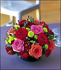 Rosy Romance