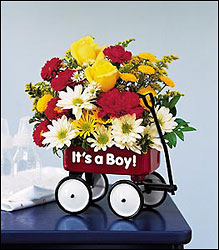 Teleflora's Baby's First Wagon