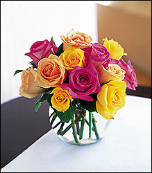 Hot Summer Roses