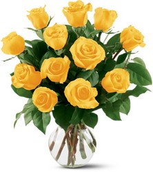 12 Yellow Roses from Swindler and Sons Florists in Wilmington, OH
