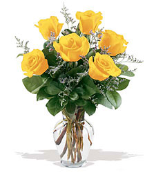 6 Yellow Roses from Swindler and Sons Florists in Wilmington, OH