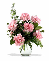 Pink Notion Vase from Swindler and Sons Florists in Wilmington, OH