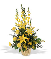 Ray of Hope Arrangement