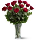 A Dozen Red Roses from Swindler and Sons Florists in Wilmington, OH
