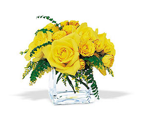 Yellow Rose Bravo! from Swindler and Sons Florists in Wilmington, OH