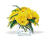Yellow Rose Bravo!