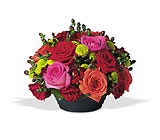 Rosy Romance