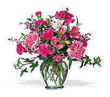 Cheerful Carnations