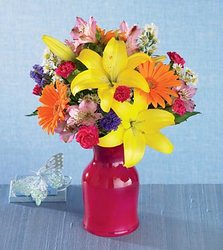 FTD Birthday Celebration from Swindler and Sons Florists in Wilmington, OH