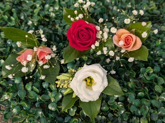Boutonniere from Swindler and Sons Florists in Wilmington, OH