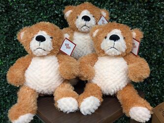 Stuffed Bobo Bear from Swindler and Sons Florists in Wilmington, OH