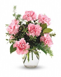 Pink Notion  from Swindler and Sons Florists in Wilmington, OH