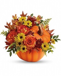 Warm Fall Wishes  from Swindler and Sons Florists in Wilmington, OH