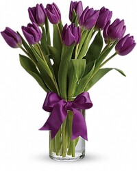Passionately Purple Tulips  from Swindler and Sons Florists in Wilmington, OH