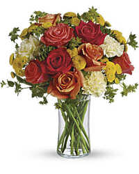 Citrus Kissed  from Swindler and Sons Florists in Wilmington, OH