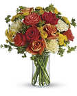 Citrus Kissed  from Swindler and Sons Florists in Wilmington, OH