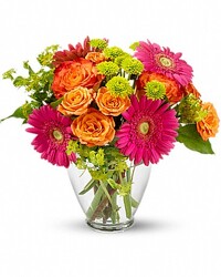 End of The Rainbow  from Swindler and Sons Florists in Wilmington, OH