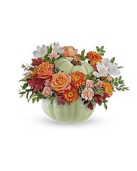 Whimsey Pumpkin from Swindler and Sons Florists in Wilmington, OH