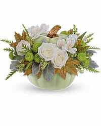 Serenity Sage  from Swindler and Sons Florists in Wilmington, OH