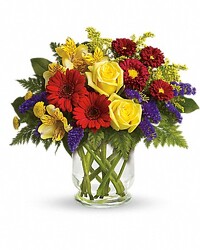 Garden Paradise  from Swindler and Sons Florists in Wilmington, OH