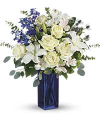 Calming Cobalt  from Swindler and Sons Florists in Wilmington, OH