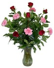 Half 'N' Half from Swindler and Sons Florists in Wilmington, OH