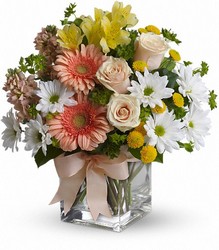 Teleflora's Walk in the Country Bouquet from Swindler and Sons Florists in Wilmington, OH