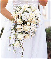 White Cascade Bridal Bouquet from Swindler and Sons Florists in Wilmington, OH