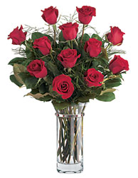 Dozen Red Roses from Swindler and Sons Florists in Wilmington, OH