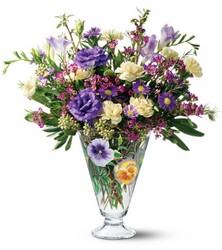 Teleflora's Painted Pansy Bouquet from Swindler and Sons Florists in Wilmington, OH