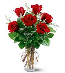 6 Red Roses from Swindler and Sons Florists in Wilmington, OH