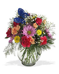 Butterfly & Blossoms Vase from Swindler and Sons Florists in Wilmington, OH