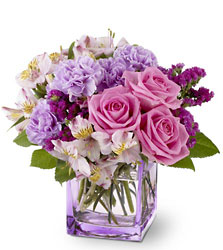 Beautiful Day from Swindler and Sons Florists in Wilmington, OH