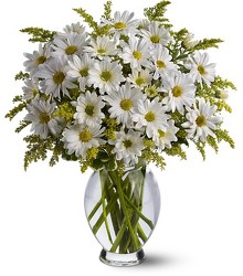 Teleflora's Daisy Days from Swindler and Sons Florists in Wilmington, OH
