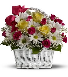 Daisy Dreams Basket from Swindler and Sons Florists in Wilmington, OH