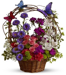 Dancing Butterflies from Swindler and Sons Florists in Wilmington, OH