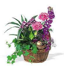 Garden Comforts from Swindler and Sons Florists in Wilmington, OH