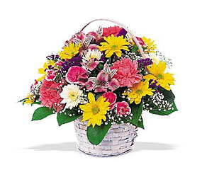 Simple Pleasures from Swindler and Sons Florists in Wilmington, OH