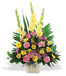 Warm Thoughts Arrangement from Swindler and Sons Florists in Wilmington, OH